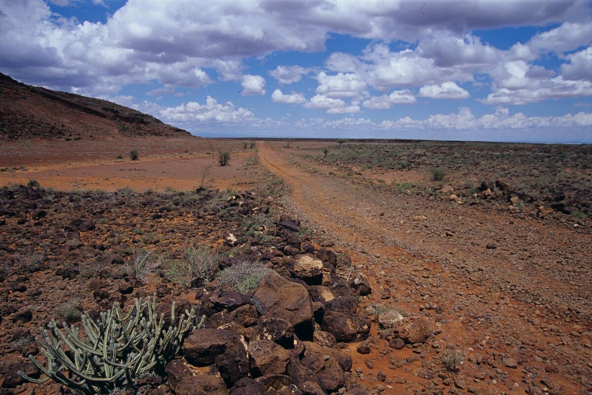 Chalbi woestijn Kenia