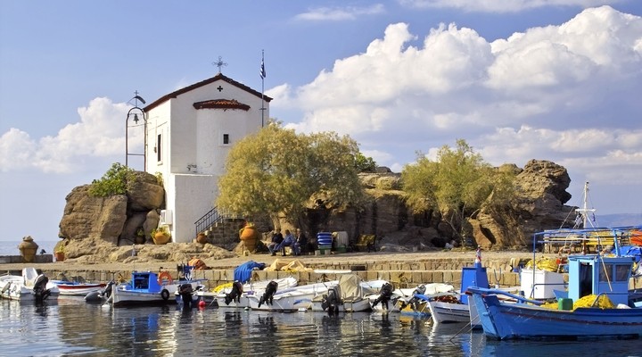 Kat op het Griekse eiland Lesbos