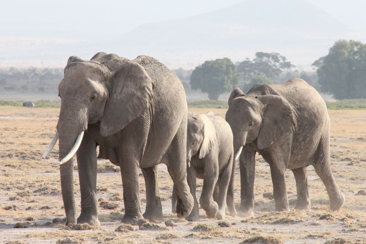 Foto van deze vakantie
