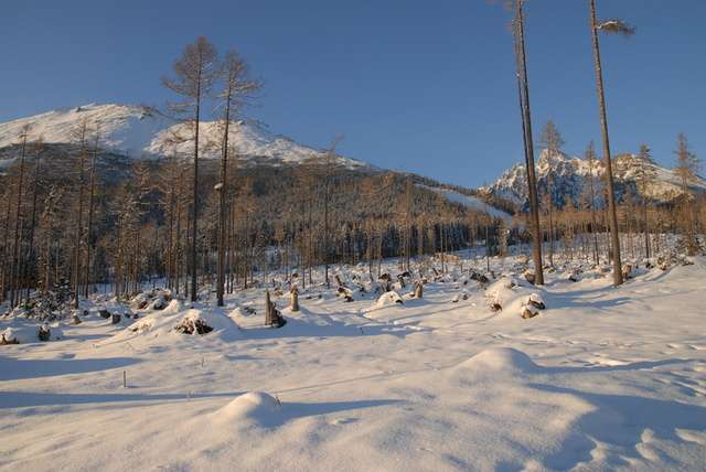 Wintersport Slowakije