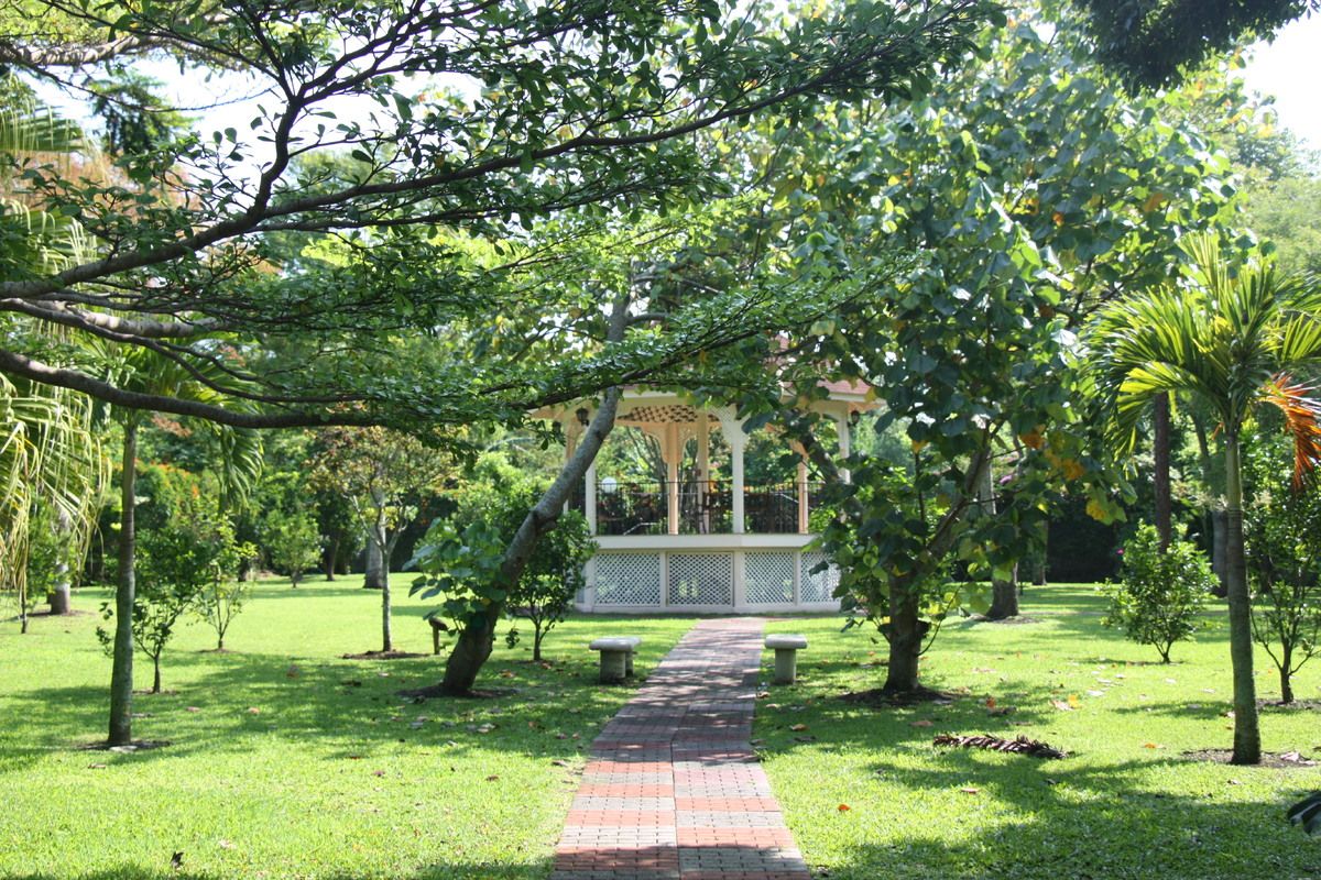 De tuin bij Hotel Bougainvillea