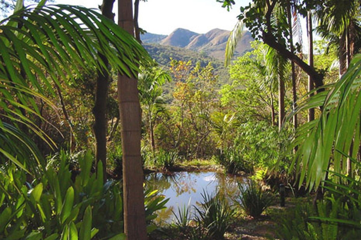 Natuurreservaat Phophonyane