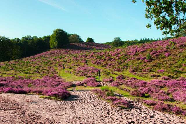 Wandelen in Midden- en Noord-Nederland
