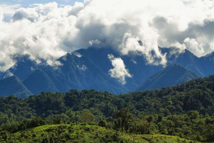 Het Amazonegebied in Ecuador