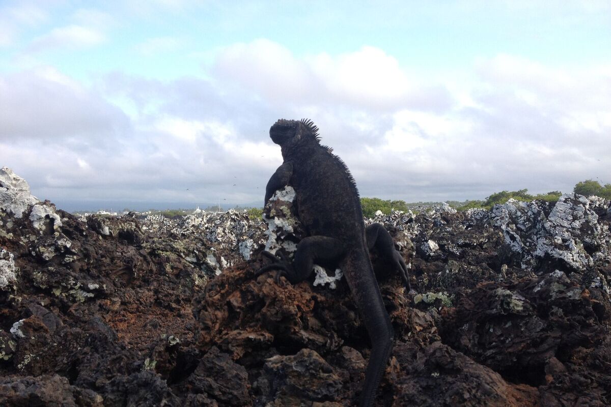 Foto van deze vakantie