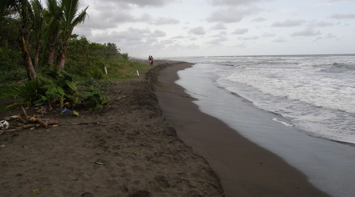 Turtle Beach in Tortuguero