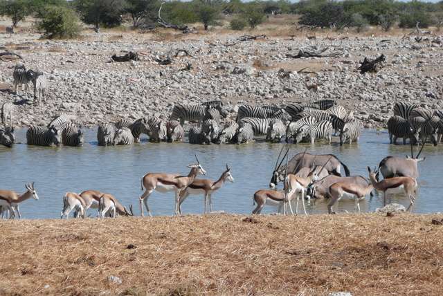 Nationale parken in Namibië