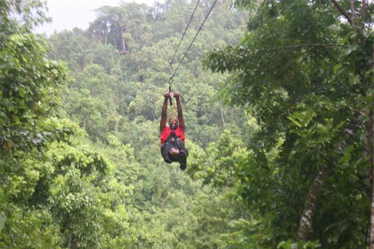Zipline Canopy Jamaica