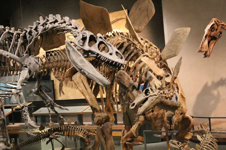 Denver Museum of Nature and Science