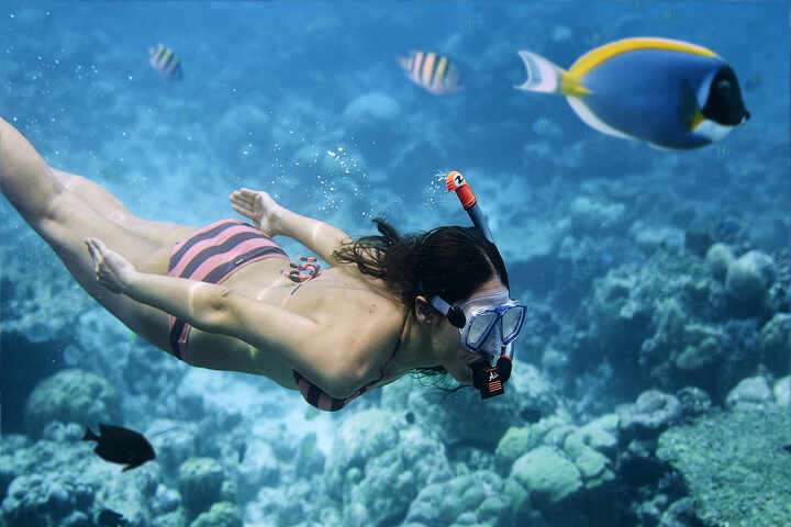 Snorkelen op de Malediven