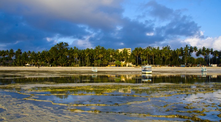 Mooi plaatje van Mombasa