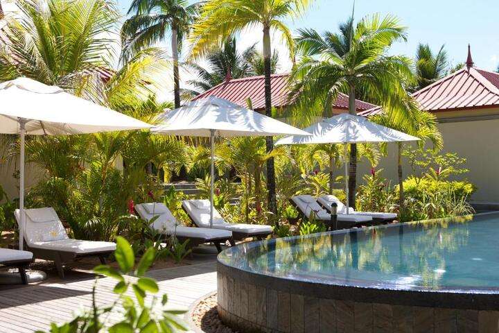 Zwembad met heerlijke ligbedjes