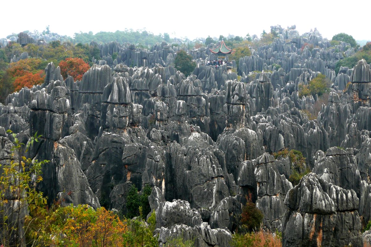 Stone Forest