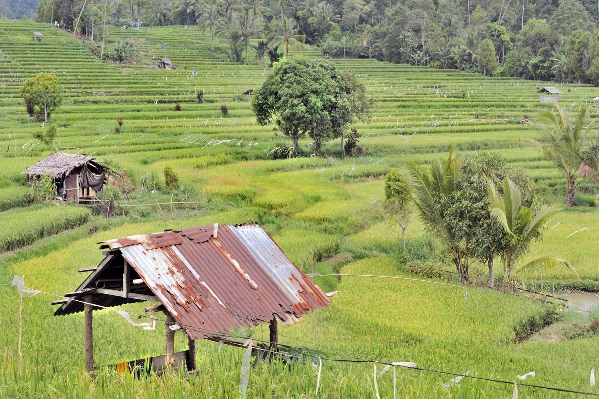 Menado in Indonesi�