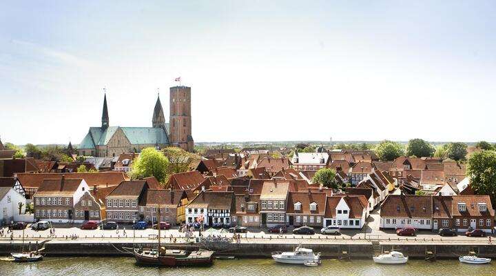 Top 5 excursies Denemarken