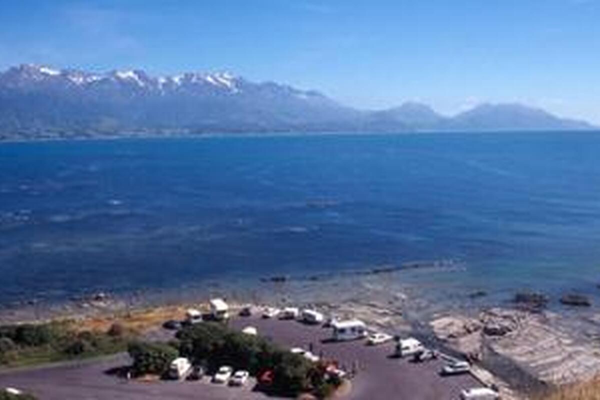 Kaikoura, Robbenkolonie