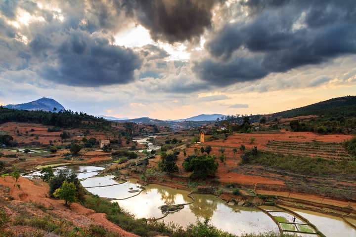 Donkere wolken boven de rijstvelden