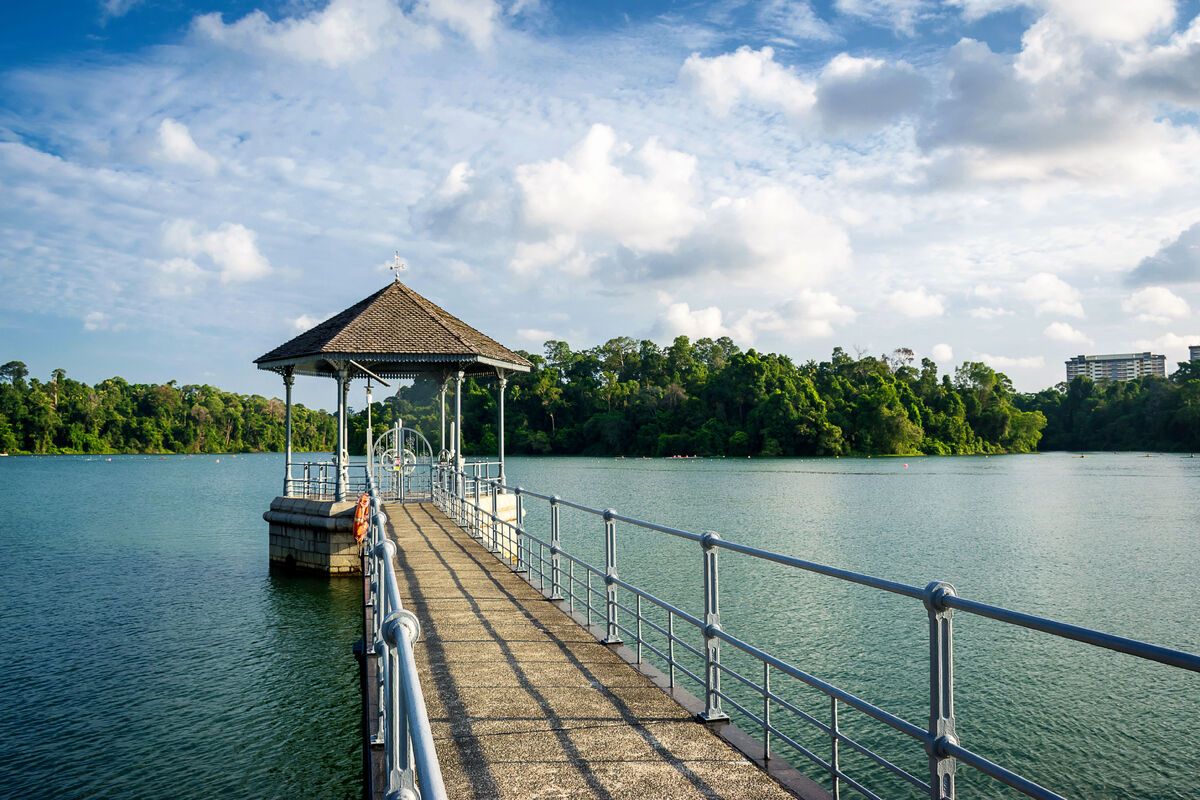 Het MacRitchie reservoir