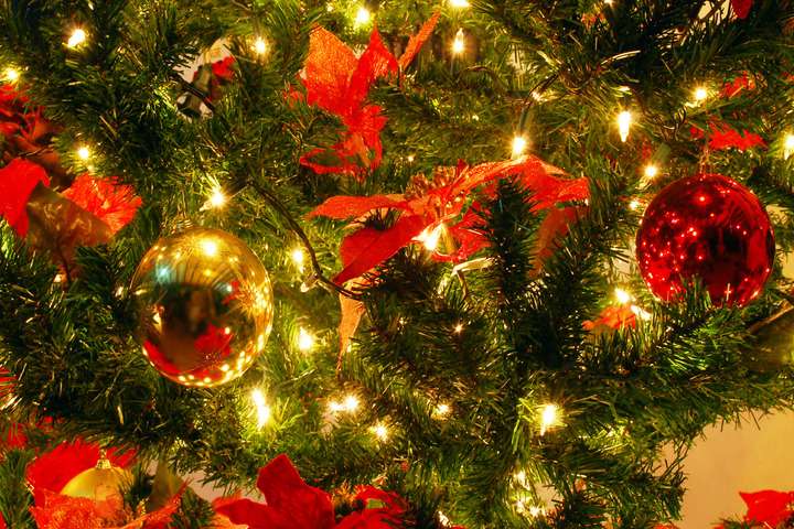 Kerstbomen worden versierd