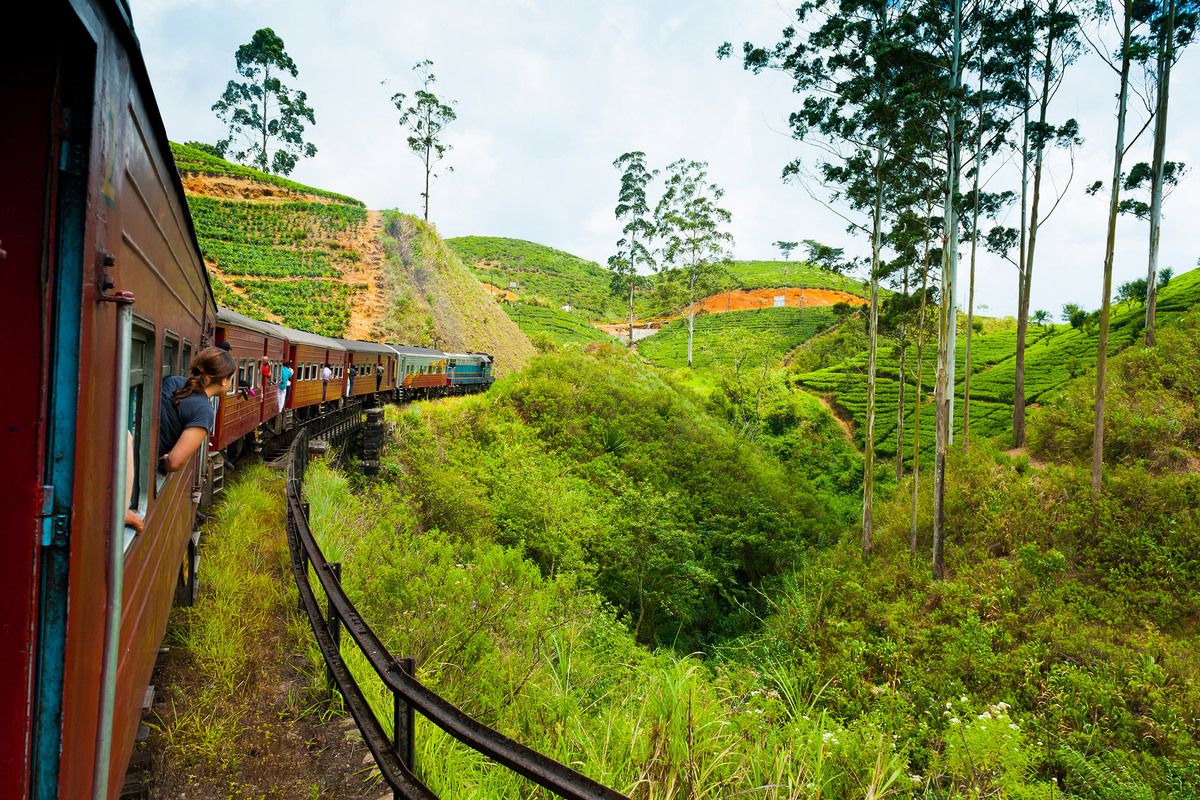 Familiegroepsreis Currys en Kokosnoten in Sri Lanka