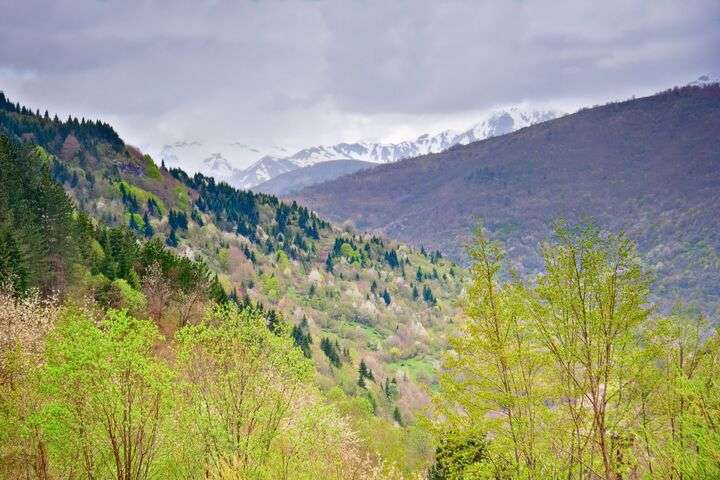 Mavrovo