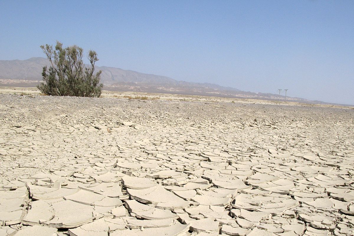 Het woestijnlandschap
