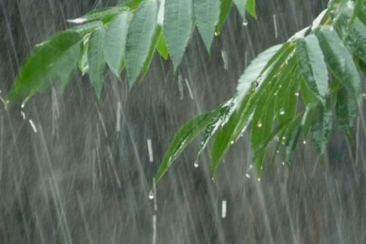 Het klimaat van Brunei