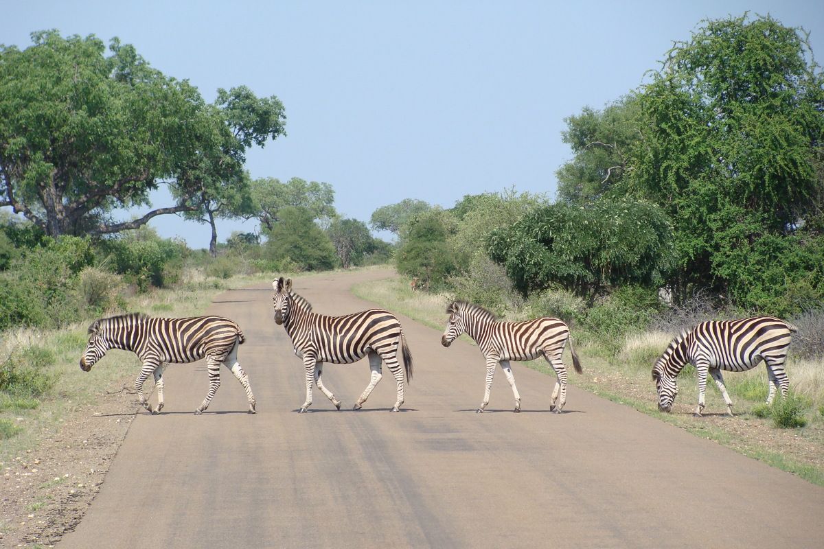 Interview met Sandra Terschegget