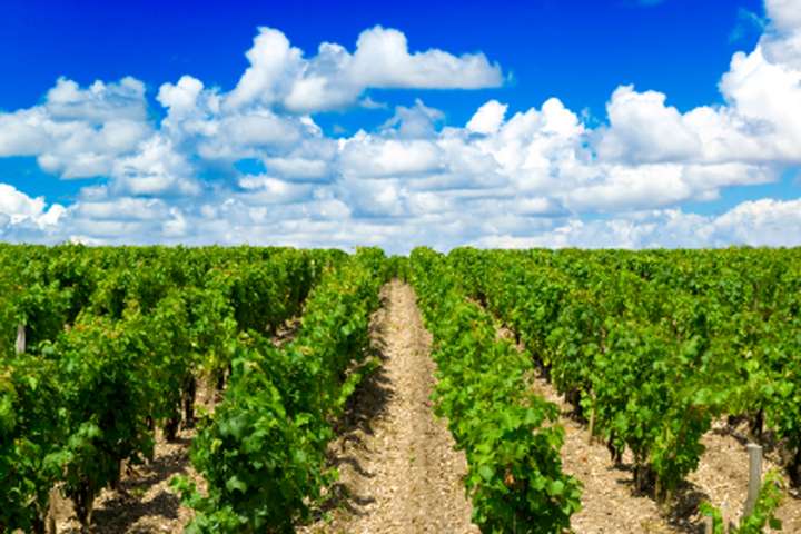 Nationaal Park Fruska Gora