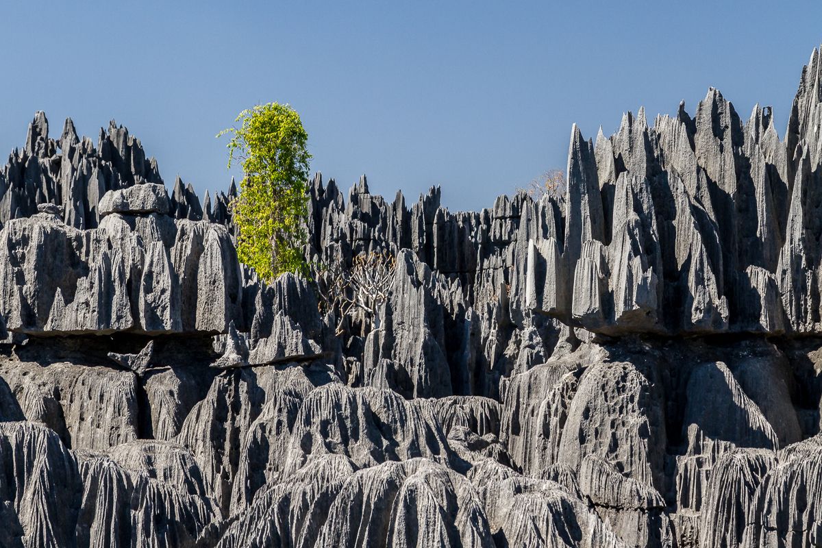 Uitzichtspunt bovenop de rotsen