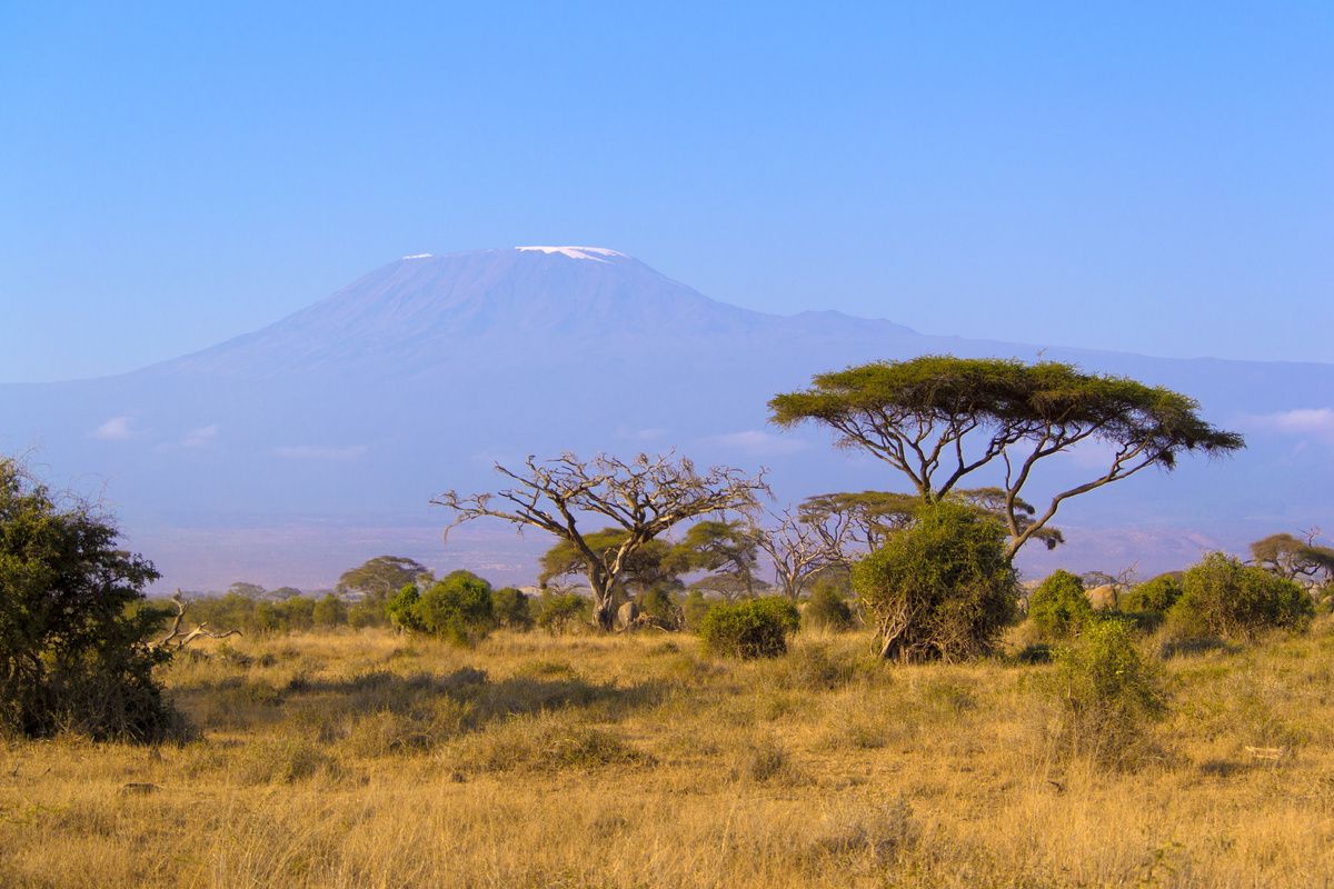 Kilimanjaro Kenia