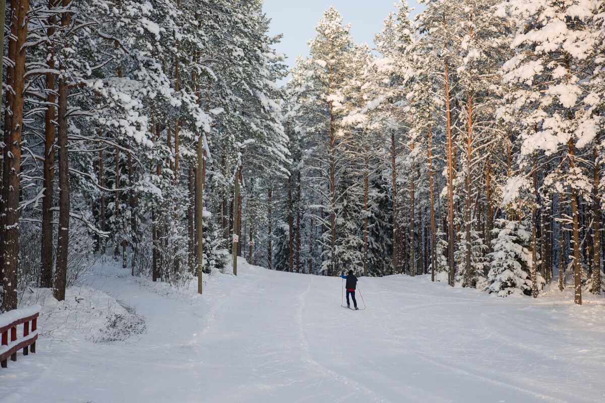 Langlaufen actieve vakantie Estland