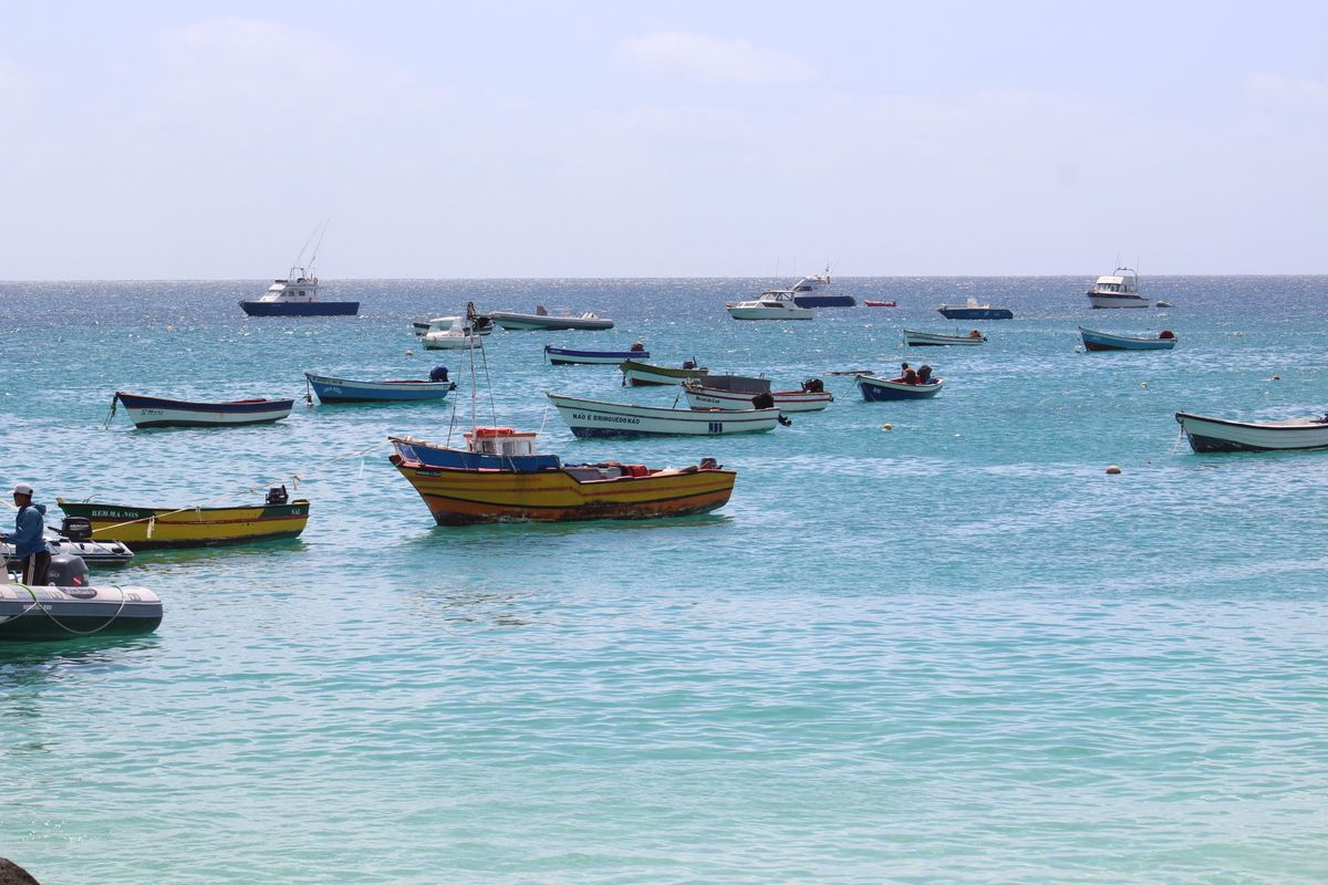 Vissersbootjes bij de pier
