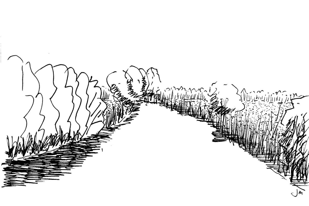 Wantij gestippeld, tekening Johan Meeus