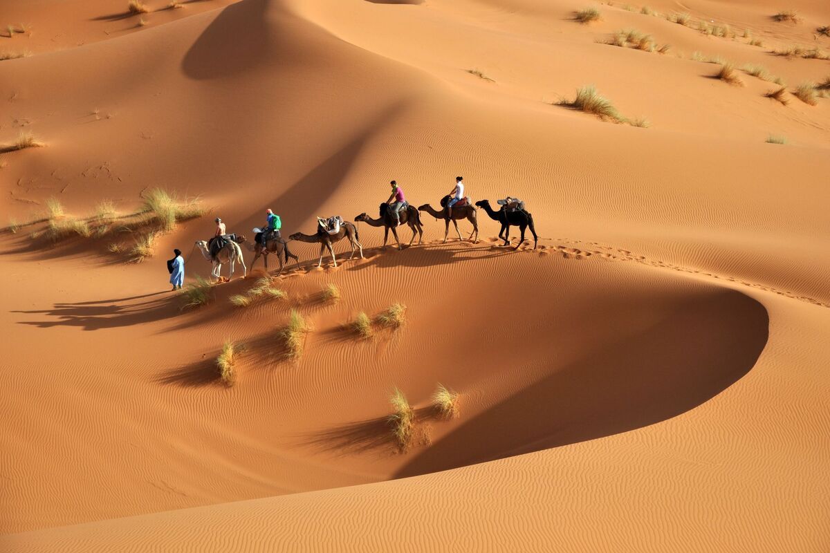 Woestijntocht op kamelen