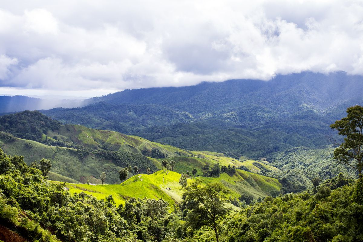 Kamperen in de jungle