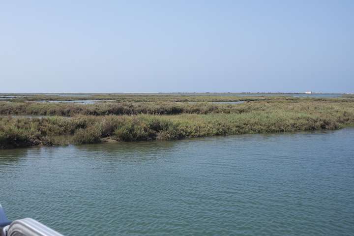 Natuurpark Ria Formosa