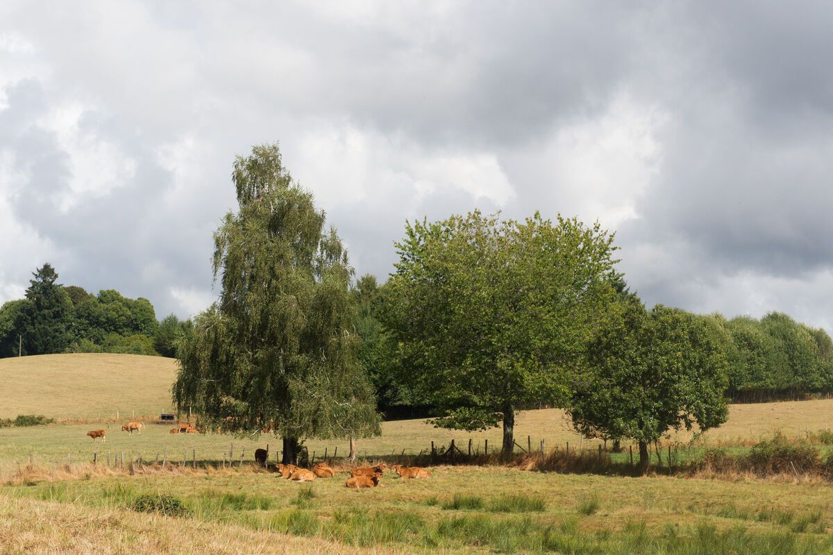 Foto van deze vakantie