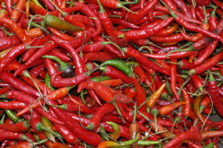 Markten in Chili id: