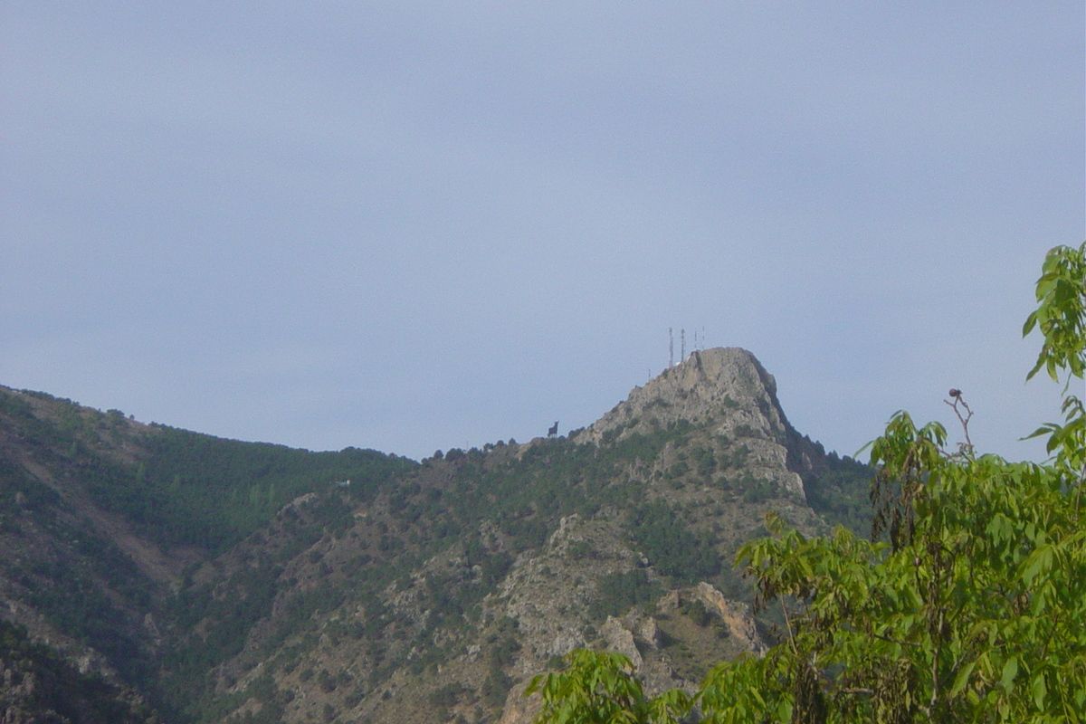 Welbekende stier van de Osborne sherry-reclame