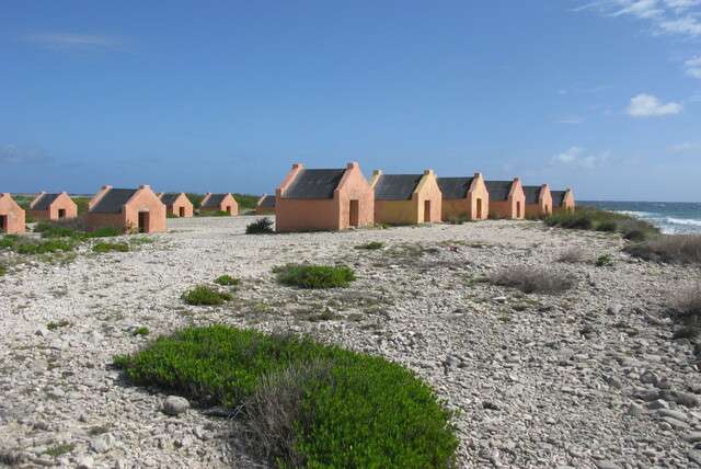 Snorkelparadijs Bonaire