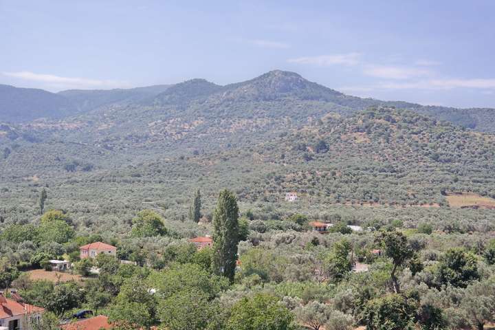 Het heuvelachtige landschap van Lesbos