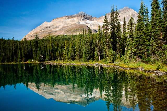 Vancouver Island