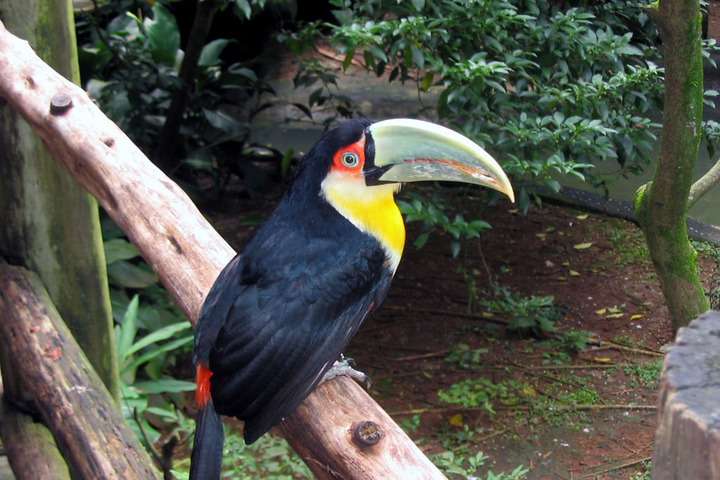 Montecristo-El Trifinio National Park