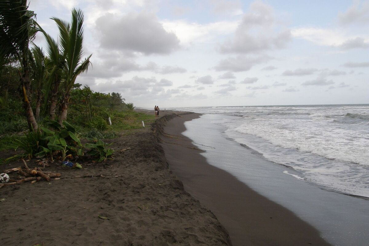 Turtle Beach in Tortuguero