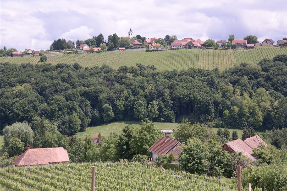 Uitzicht vanuit de kamers van Hlebec