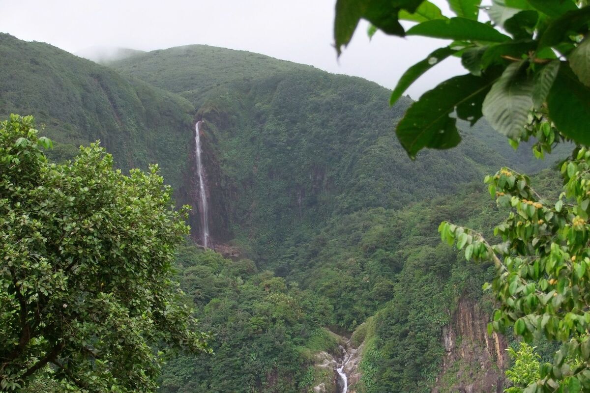 Waterval in tropisch bos, Guadeloupe