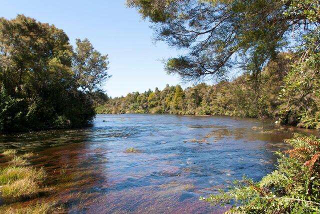 Drie weken in Nieuw-Zeeland