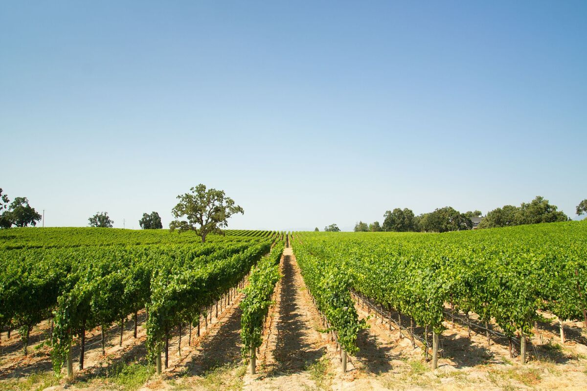 prachtige landschappen tijdens de wandeling