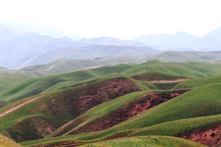 Zaamin National Park